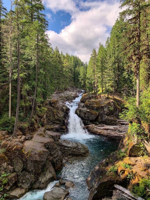 A serene forest scene featuring a cascading waterfall surrounded by lush green trees and rocky terrain.