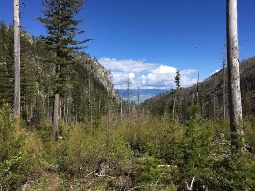 A scenic view of a valley surrounded by mountains, with tall trees and a clear blue sky dotted with clouds.