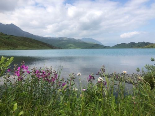 A serene lake surrounded by green hills and wildflowers under a cloudy sky.
