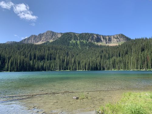 A serene lake surrounded by lush green forests and mountains under a clear blue sky.