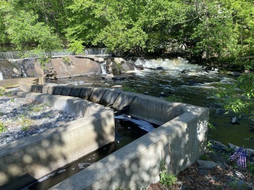 A serene river scene with a small dam, flowing water, and lush green trees surrounding the area.