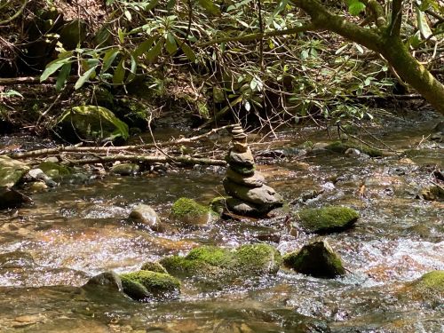 A stack of smooth stones balanced in a shallow stream, surrounded by greenery and mossy rocks.