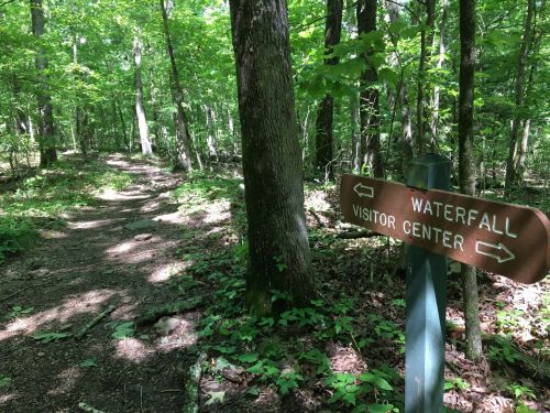 A wooden sign points to a waterfall and visitor center along a forested trail surrounded by lush greenery.