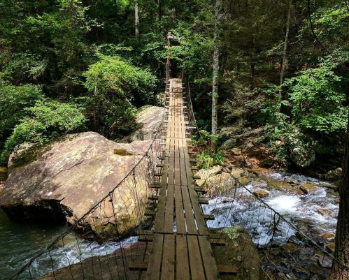 A wooden suspension bridge spans a rocky creek, surrounded by lush green trees and foliage.