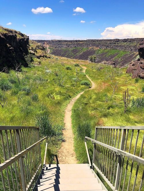 A grassy path winds through a canyon, with steps leading down to the trail under a clear blue sky.