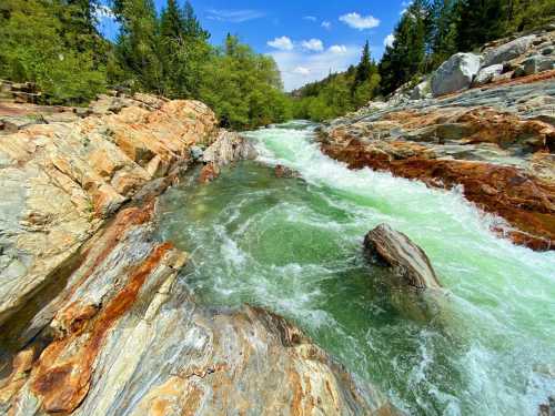 A rushing river flows over colorful rocky terrain, surrounded by lush green trees and a bright blue sky.