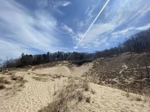 A sandy dune landscape under a blue sky with wispy clouds and sparse trees in the background.