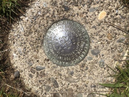 A metal survey marker embedded in concrete, surrounded by grass and small stones.