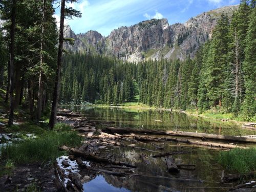 A serene forest scene with a calm lake, surrounded by tall trees and mountains under a blue sky.