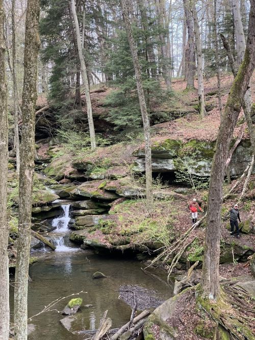 A serene forest scene with a small waterfall and two people exploring along the rocky riverbank.