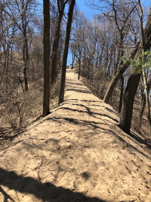 A sandy path winds through a wooded area, flanked by trees under a clear blue sky.