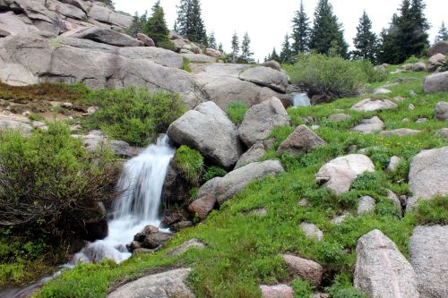 A serene landscape featuring a small waterfall cascading over rocks, surrounded by lush greenery and pine trees.