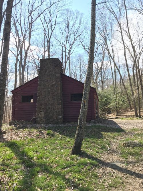 A rustic cabin with a stone chimney, surrounded by bare trees and greenery on a sunny day.