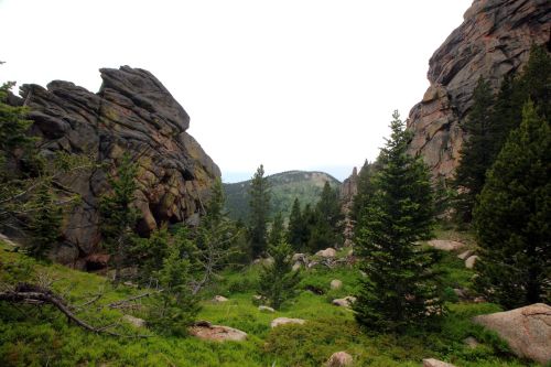 A rocky canyon surrounded by pine trees, leading to a distant mountain under a cloudy sky.