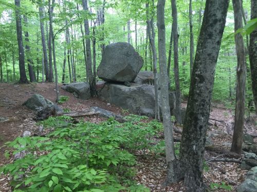 A large boulder balanced on smaller rocks in a lush green forest with trees and underbrush.