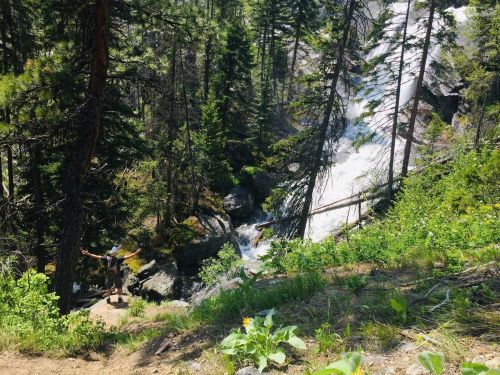 A person stands near a waterfall surrounded by lush green trees and rocky terrain in a forested area.