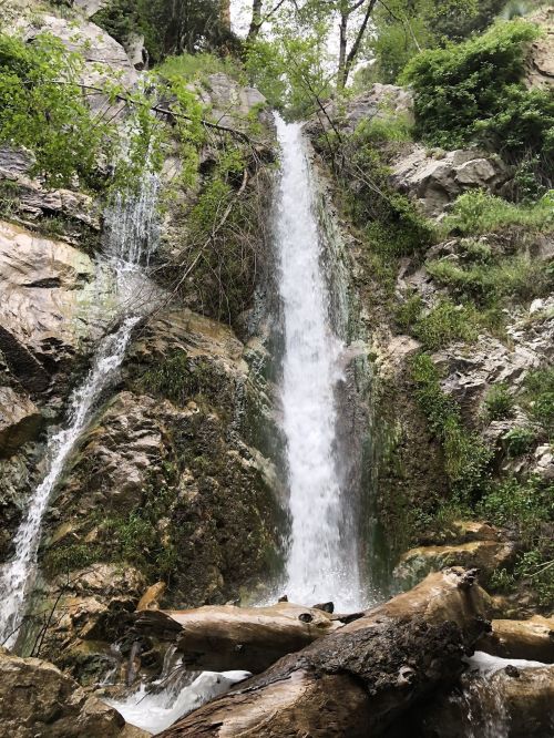 A cascading waterfall flows down rocky cliffs, surrounded by lush greenery and fallen logs.