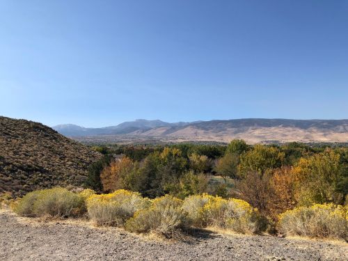 A scenic view of mountains in the background, with colorful autumn foliage and shrubs in the foreground under a clear blue sky.