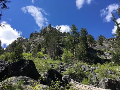 A rocky hillside covered with trees under a bright blue sky with scattered clouds.
