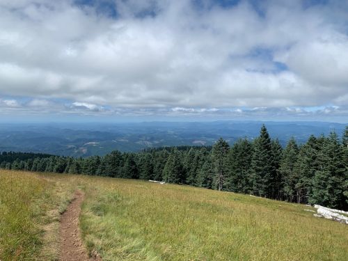 A scenic view of rolling hills and a forest under a partly cloudy sky, with a dirt path leading through the grass.