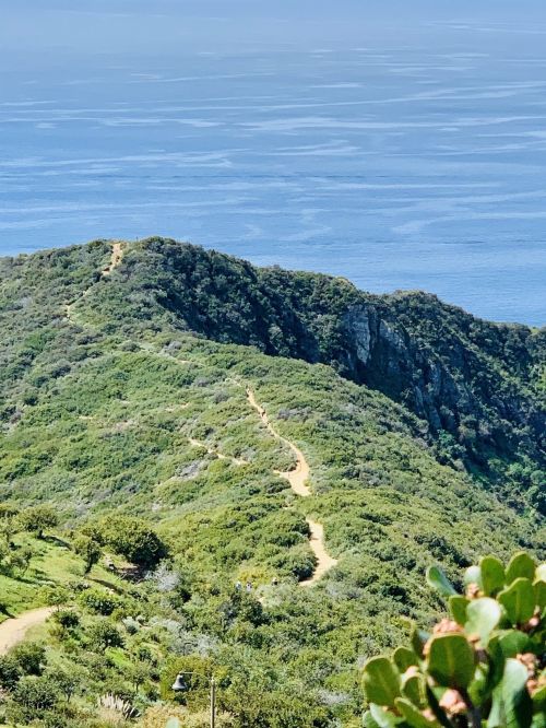 A winding trail leads through lush greenery along a coastal hillside, with the ocean visible in the background.
