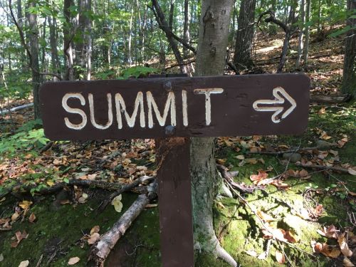 Wooden sign reading "SUMMIT" with an arrow pointing to the right, surrounded by trees and forest floor.