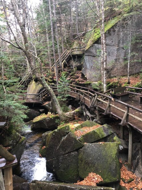 A wooden walkway winds through a forested area with moss-covered rocks and a small stream. Autumn leaves are scattered on the ground.
