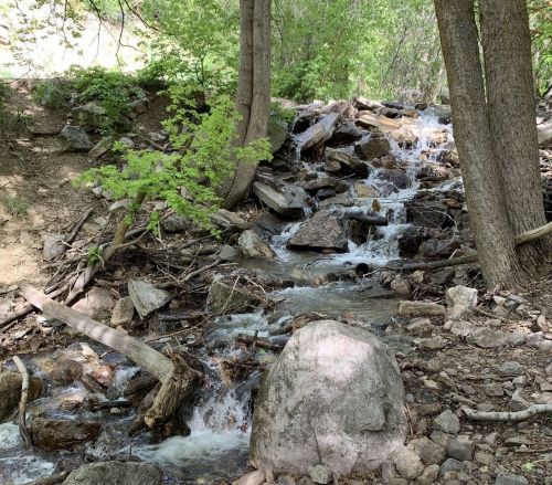 A serene stream flows over rocks, surrounded by lush greenery and trees in a peaceful natural setting.