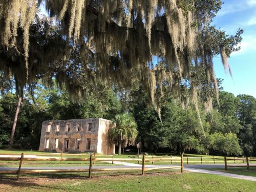 A historic building partially obscured by Spanish moss, surrounded by trees and a wooden fence in a serene park setting.