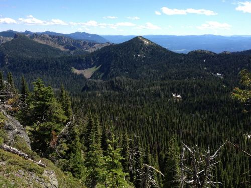 A panoramic view of a lush green forested valley surrounded by mountains under a clear blue sky.