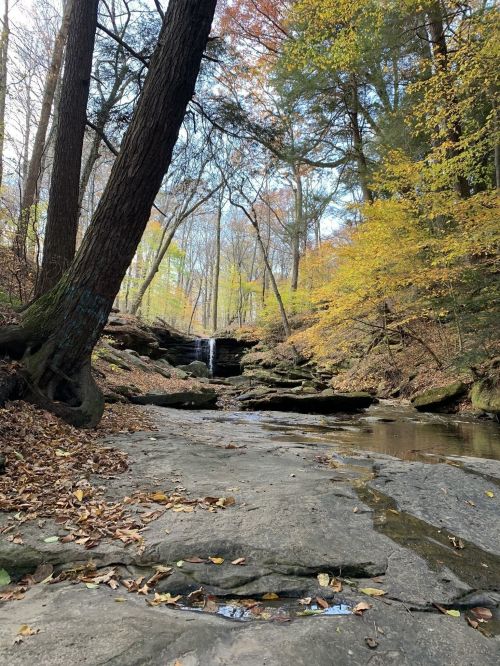 A serene forest scene with a small waterfall, surrounded by colorful autumn foliage and rocky terrain.