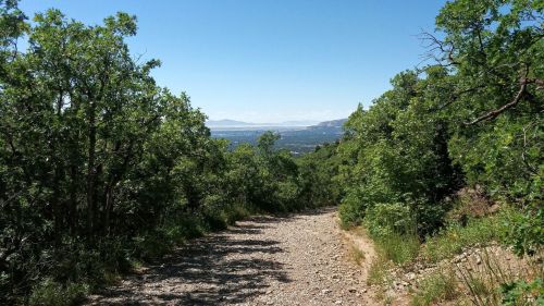 A rocky path winds through lush greenery, leading to a scenic view of distant mountains and a clear blue sky.