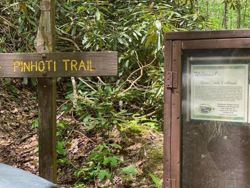 Sign for Pinhoti Trail and a welcome board for Bear Creek Trailhead in a lush, green forest setting.
