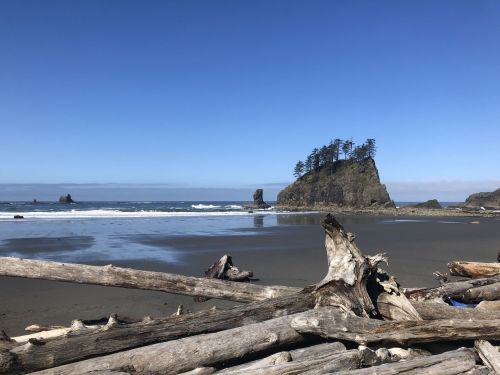 A scenic beach with driftwood, rocky formations, and a clear blue sky in the background. Waves gently lap at the shore.