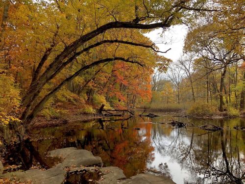 A serene autumn scene with colorful trees reflecting in a calm river surrounded by rocks.