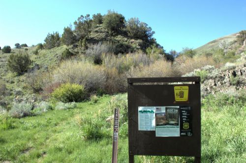 A trailhead sign in a grassy area, with a hill and trees in the background under a clear blue sky.