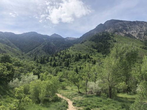 Lush green mountains and trees under a partly cloudy sky, with a winding path through the vibrant landscape.