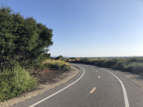 A winding bike path surrounded by greenery under a clear blue sky.