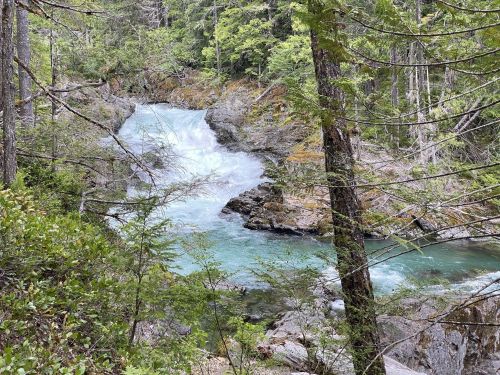 A rushing river flows through a lush green forest, surrounded by rocks and trees.