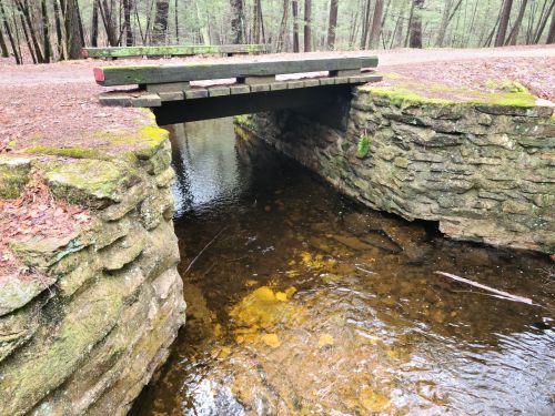 A small stone bridge spans a clear stream, surrounded by trees and earthy ground in a serene forest setting.