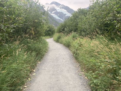 A gravel path winds through lush greenery, leading towards mountains with a glacier in the distance.