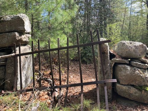 An old, rusty gate leaning against stone walls in a wooded area, surrounded by pine trees and fallen leaves.