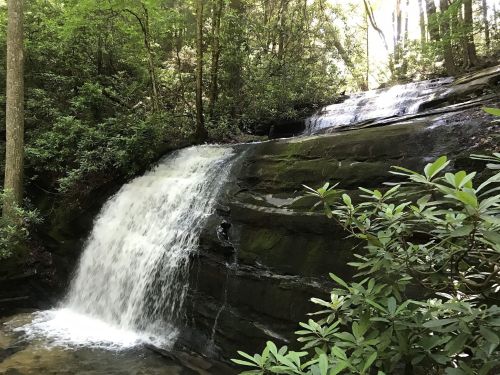 A serene waterfall cascades over rocky ledges, surrounded by lush greenery and trees in a tranquil forest setting.