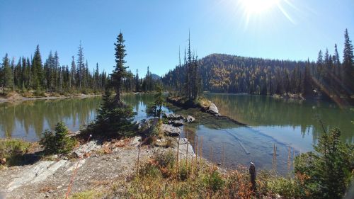 A serene lake surrounded by evergreen trees and mountains under a clear blue sky, with sunlight reflecting on the water.