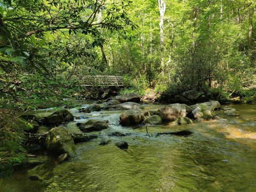 A serene forest scene featuring a clear stream flowing over rocks, with lush greenery and a wooden bridge in the background.
