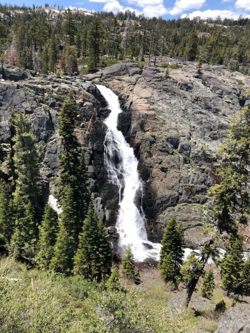 A waterfall cascading down rocky cliffs, surrounded by tall evergreen trees and a clear blue sky.