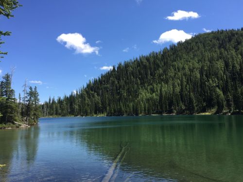 A serene lake surrounded by lush green trees and a clear blue sky with fluffy clouds.