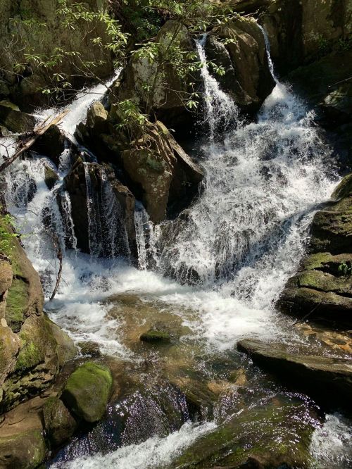 A serene waterfall cascades over rocks, surrounded by lush greenery and sparkling water in a tranquil forest setting.