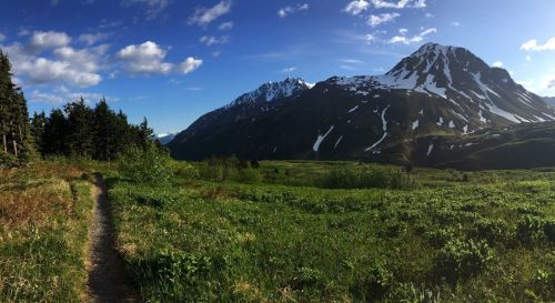 A scenic mountain landscape with snow-capped peaks, lush green fields, and a winding dirt path under a blue sky.