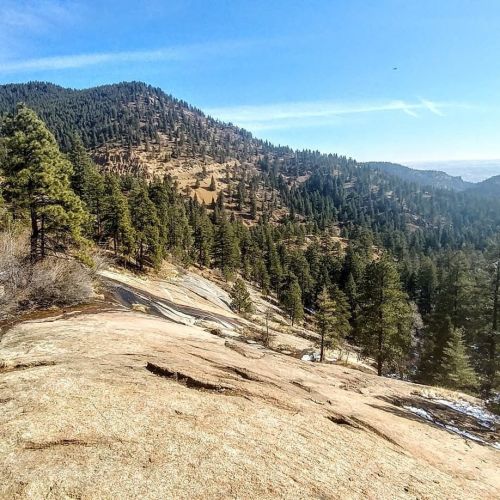 A scenic view of rolling hills covered in pine trees under a clear blue sky. Rocky terrain in the foreground.